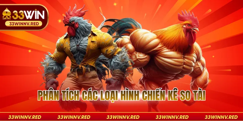 Phân tích các loại hình chiến kê so tài