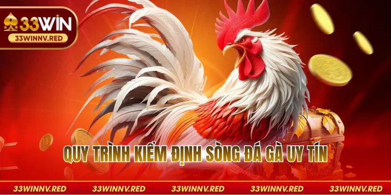 Quy trình kiểm định sòng đá gà uy tín