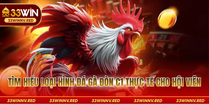 Tìm hiểu loại hình đá gà đòn C1 thực tế cho hội viên