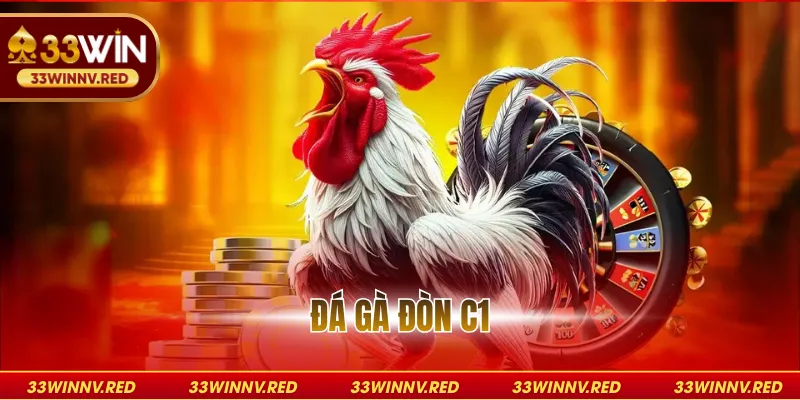 Đá gà đòn C1